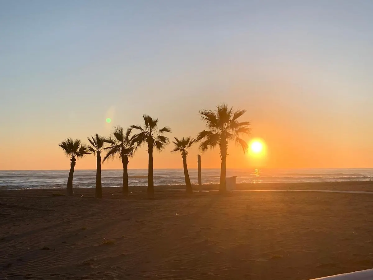 公寓 Appartement Duna Beach 2 托罗克斯科斯塔